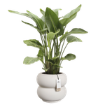 amber roll low 43cm leinenweiß